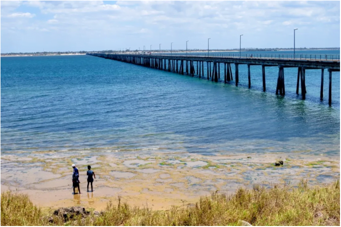 Top 5 Longest And Most Spectacular Bridges In Africa - SinAfricaNews